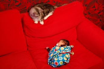 Rambo sitter barnvakt.