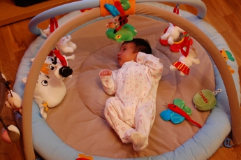 Riktigt rolig julklapp!