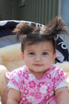 Fint när tofsarna är borta!