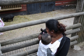 Zelda får komma lite närmre djuren...