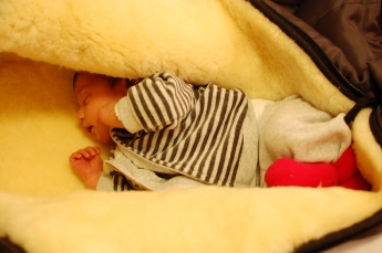 Jag gillar fårskinn!